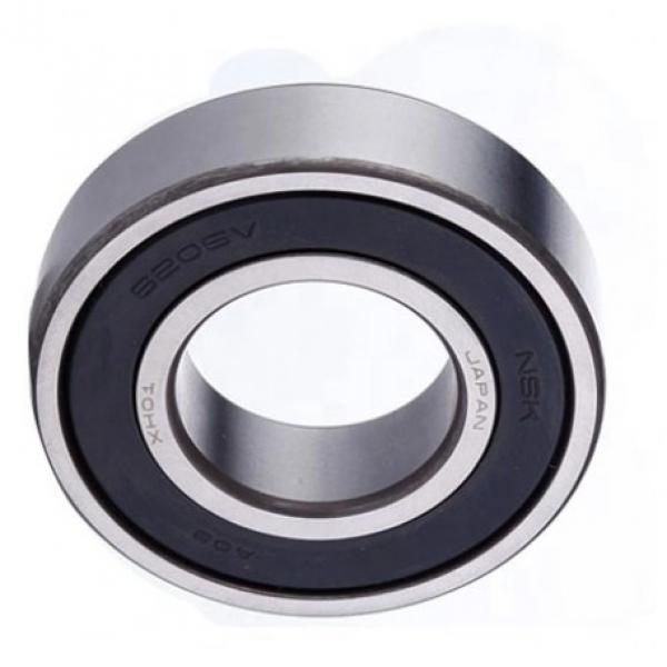 Full Zirconia Ceramic Ball Bearing 6007 with Top Quality #1 image